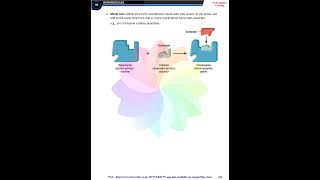 Chapter 9 Biomolecules #biology #science#NEET #ncert
