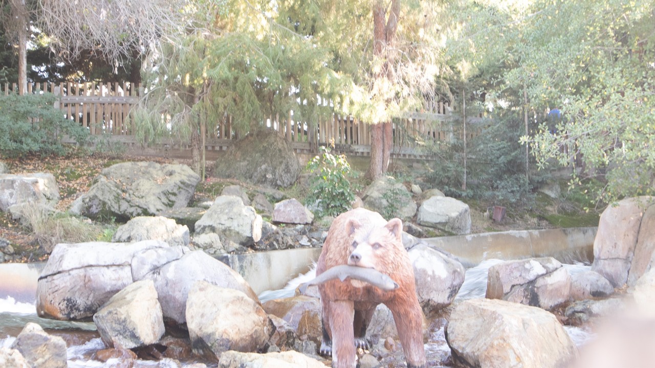 CALICO RIVER RAPIDS WITH MY GIRLFRIEND IN VALENTINE'S DAY KNOTT'S BERRY FARM