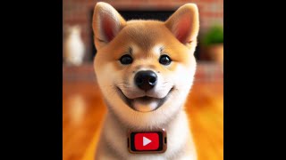 Shiba Inu Guide: Understanding Their Traits and Care Tips#dog#care