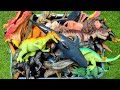 Hunting Dinosaur Jurassic World Toy In The Box ASMR Review