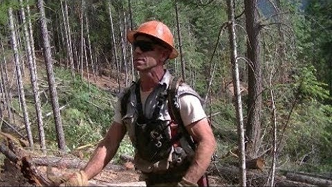 Koller K501 Yarder logging - Rigging Slinger Blowing Whistle Signals and Tooting (explained)