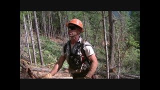Koller K501 Yarder logging - Rigging Slinger Blowing Whistle Signals and Tooting (explained)