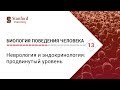 Биология поведения человека: Лекция #13. Неврология и эндокринология: продвинутый уровень