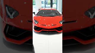 Lamborghini Aventador parked front view, matching glossy red smart key in hand, hand holding key