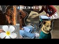a productive week in my life *realistic* II ft Uni Days || Kiki’s Cam Roll