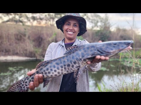 Pesca na represa: Pescando Panga e Pintado com Método Pinda! E receita de defumação.
