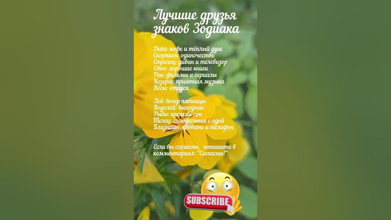 Лучшие друзья знаков Зодиака / 9196 - YouTube