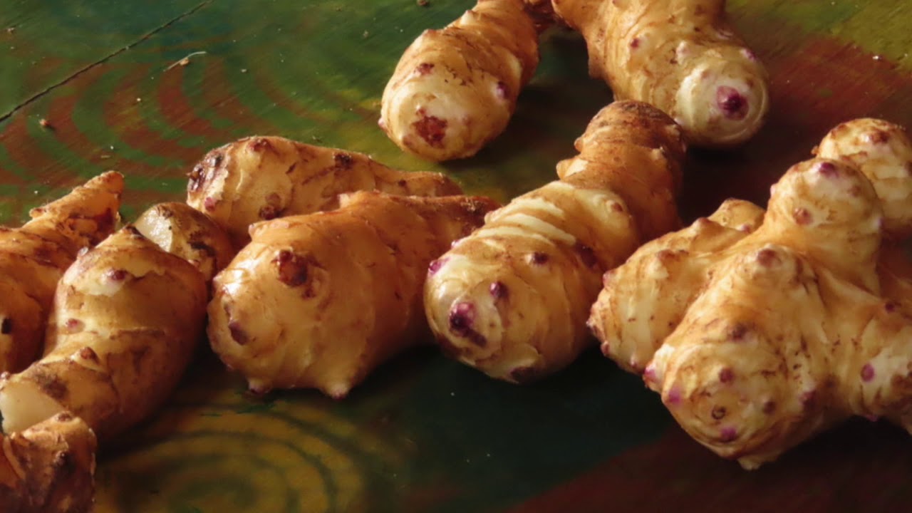 Jerusalem Artichoke Relish YouTube