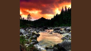 Streamside Lullaby in Tranquility