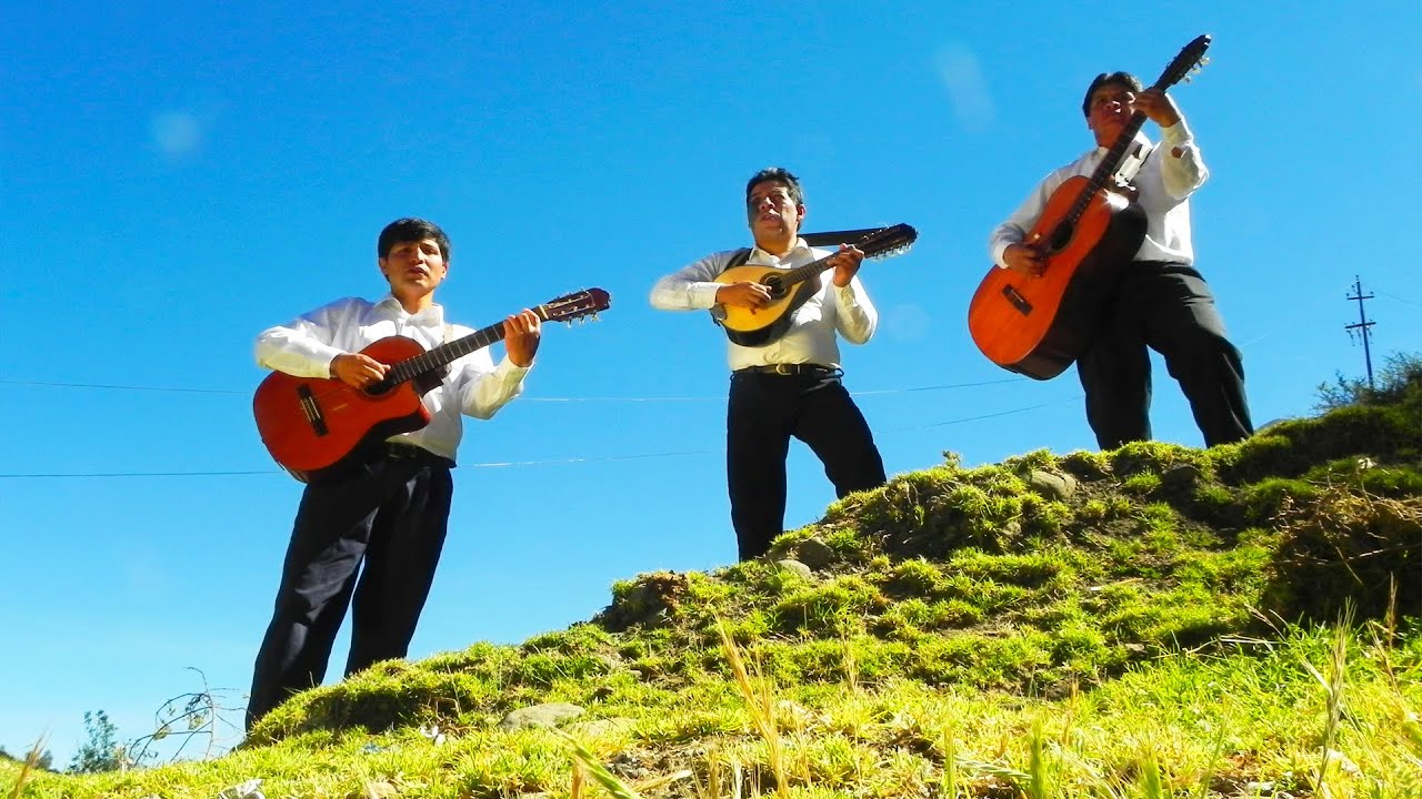 Raíces cajatambinas - Tamia maycho qayayni