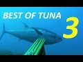 BEST TUNA SPEARFISHING VOL 3 - Best shooting compilation Ocean and Mediterranean Sea fishing