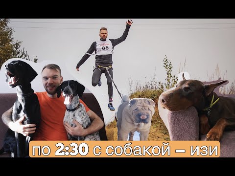 Норвежские метисы — технический допинг. Каникросс и с чем его едят в России?