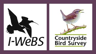 I-WeBS & CBS - Bird Monitoring Scientific Research Network (Introduction, 28 Oct 2021) by BirdWatchIreland 274 views 2 years ago 1 hour, 2 minutes
