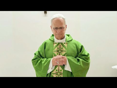 El Vaticano difunde las primeras imágenes del papa León XIV tras su operación