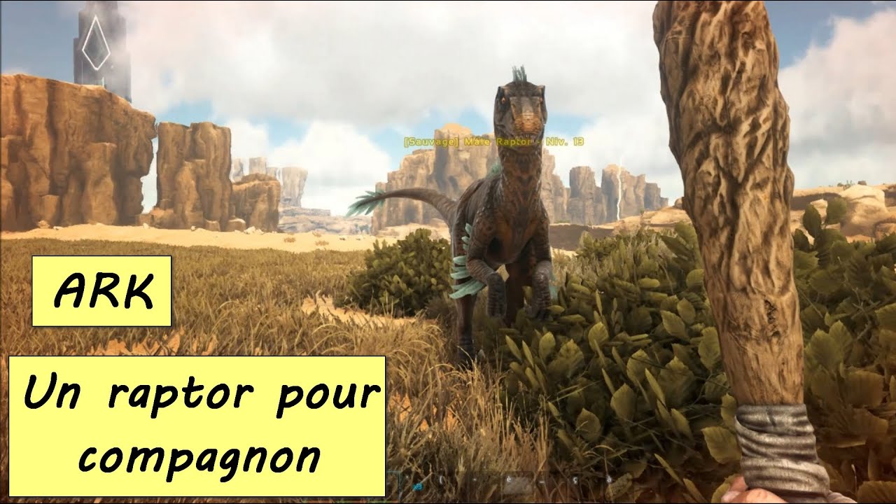 ARK SCORCHED EARTH Un raptor pour compagnon Ep2 HD FR - YouTube