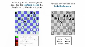 (NGSS) Understanding Crosscutting Concepts: The Chess Metaphor | California Academy of Sciences