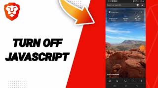 How To Turn Off Javascript On Brave Private Web Browser,VPN App screenshot 4