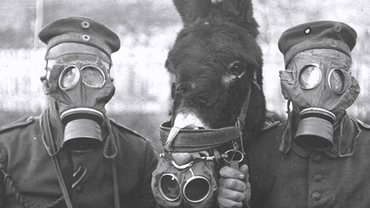 World War One Poison Gas Documentary YouTube