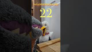 22. Kalenderblatt`24