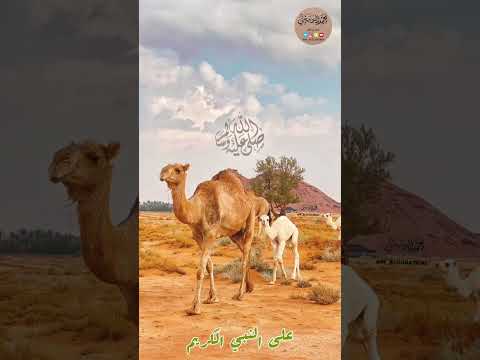 الصلاة على النبي الشيخ عبدالرحمن السديس