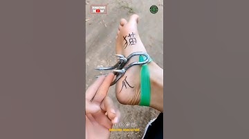 Simple Tree Climbing Tool😱