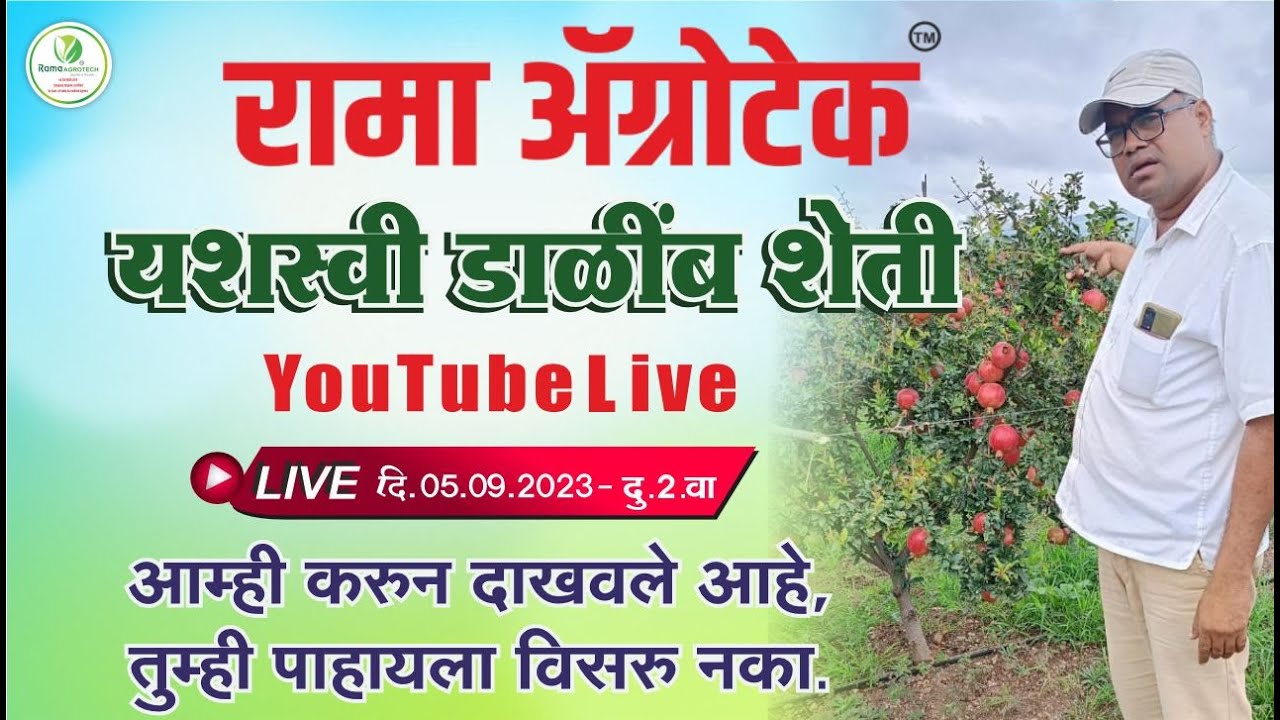 डाळिंबाची यशस्वी शेती | Rama Agrotech