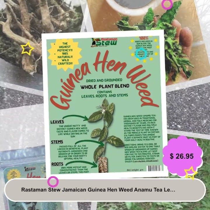 Rastaman Stew Jamaican Guinea Hen Weed Anamu Tea Leaves Stems and Roots Grounded and Blended Wilc...