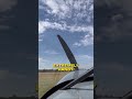 Six Coyotes Off One Setup #shorts #plane #wildlife #trapping