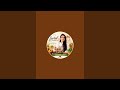 Healthy &amp; Easy Homemade Recipes | Seerat Healthy Bites &amp; Bright Mind | Quick Cooking Ideas