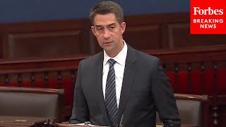 Tom Cotton Debates Dems And GOP After Blocking Bill To Make Daylight Savings Time Permanent