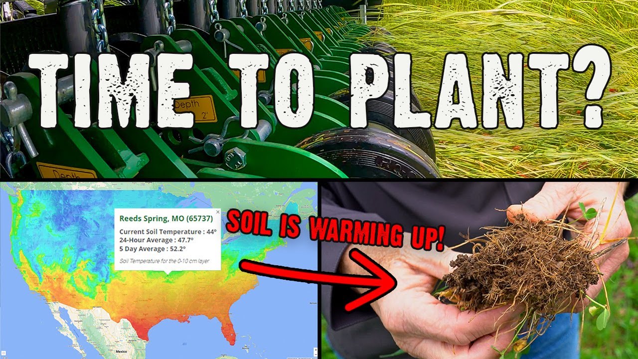 The Best Guide On When to Plant Spring Food Plots (698) YouTube