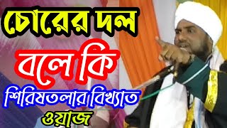 চোরের দল বলে কি ওরা জানতেও চায় না মাওঃ আমিনুদ্দিন রেজবী সাহেব Aminuddin Rezbi Waz