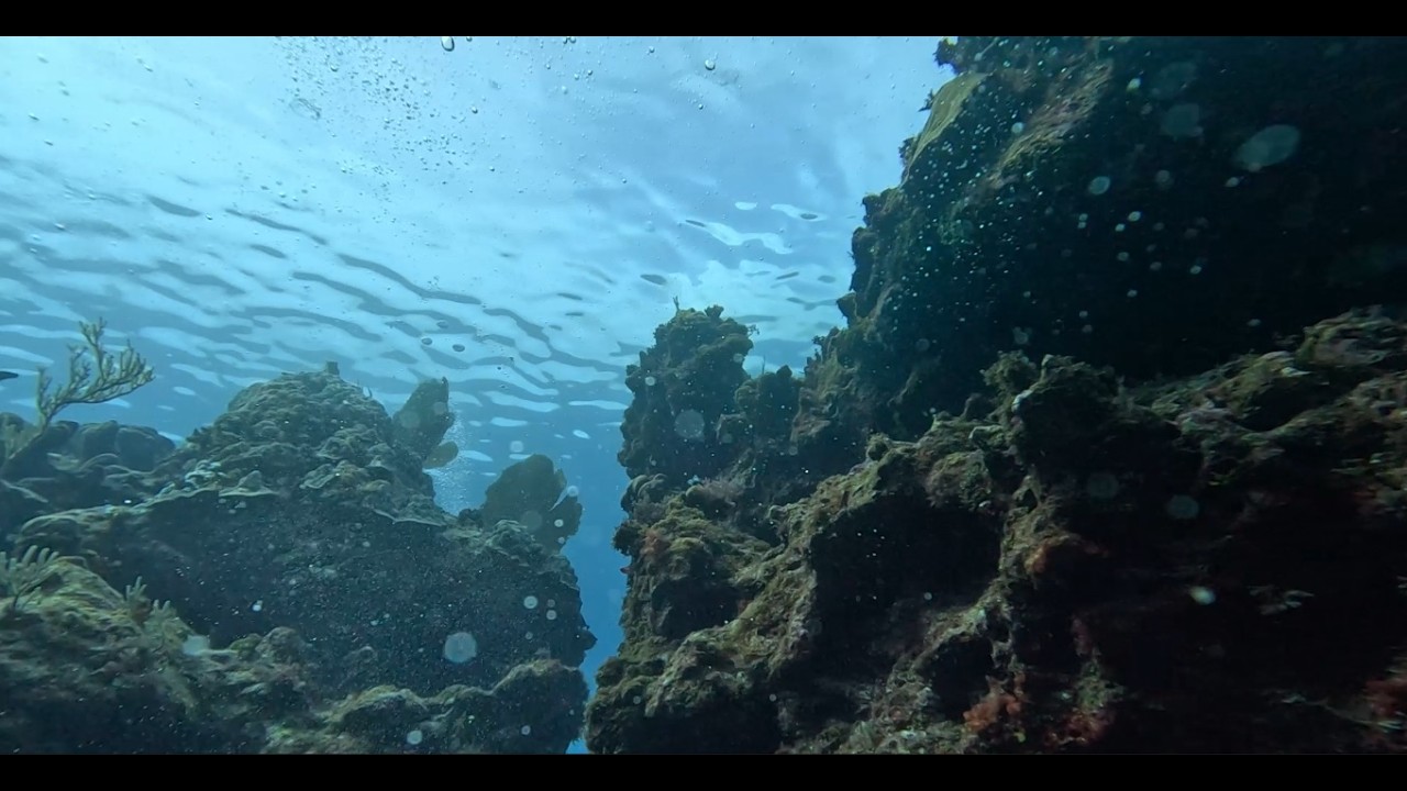 Cayman Brac - Angel Reef! Through some nice walls!
