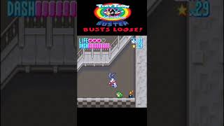 🎮 - Tiny Toon Adventures: Buster Busts Loose! (SNES)