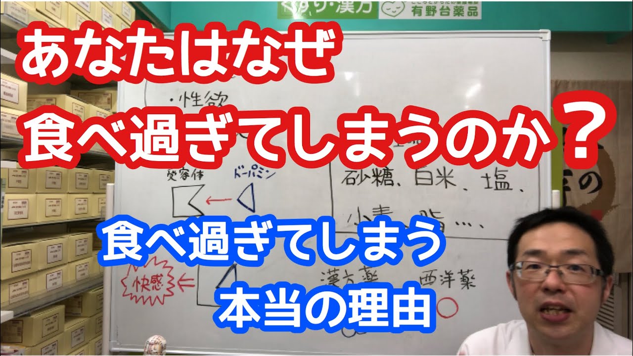 あなたはなぜ 食べ過ぎてしまうのか 食べ過ぎてしまう本当の理由 Youtube