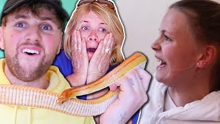 HOLD THIS GIANT SNAKE CHALLENGE (FOR MONEY)