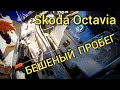 Skoda Octavia с ПРОБЕГОМ КАК У ФУРЫ - ОБЗОР