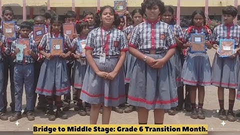 Bridge Course class 6 (Introduction)