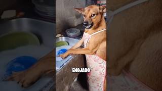 NO ME GUSTA LAVAR LA LOZA #parody
