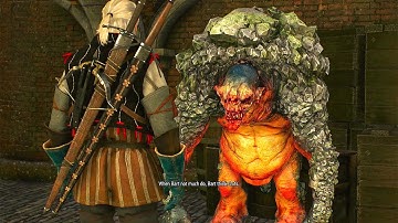 The Witcher 3 Wild Hunt Gameplay - Part 8 | Broken Flowers, Get Junior & Count Reuven’s Treasure