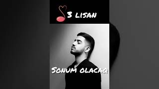 Javid Amir - Sonum Olacaq Resimi