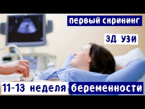 скрытая камера Скритвинг онлайн