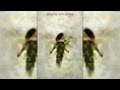 Speedart | Connected With Nature (Razor Entry) [3rd Place]