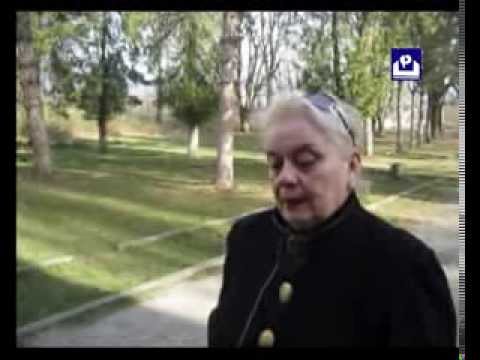 აქცია არეშფერანში