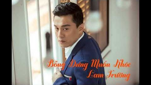 [Audio] 9. Bỗng Dưng Muốn Khóc   Lam Trường