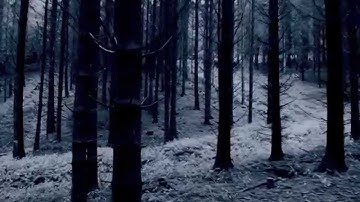 Me & the Devil | MV
