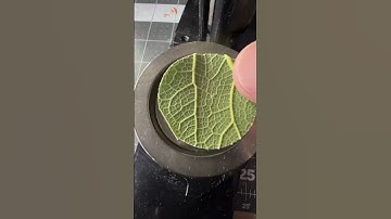 Will it Button? Leaf 🍃 #button #pin #artprocess #leaf