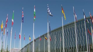 Sweden, Finland officially submit bids to join NATO | FOX 7 Austin