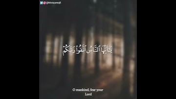 عبدالله الموسى - سورة لقمان || يا أيها الناس اتقوا ربكم واخشوا يوما