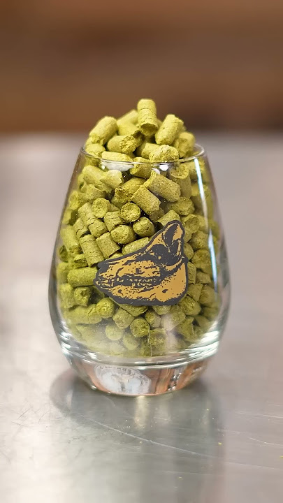 How to Make Beer